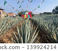 Tequila Village (Mexico) 139924214