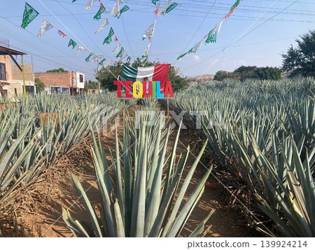 Tequila Village (Mexico) Tequila Village (Mexico) 139924214