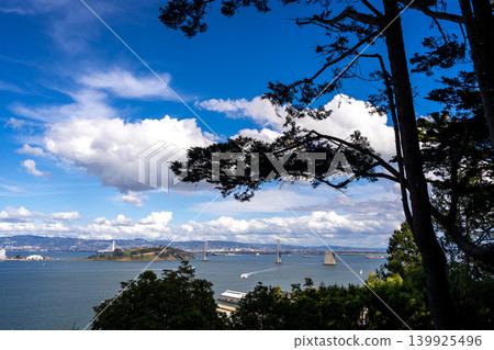 Panoramic view of San Francisco Bay and lush greenery, USA Panoramic view of San Francisco Bay and lush greenery, USA 139925496