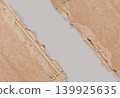 Diagonal torn cardboard paper over grey background 139925635