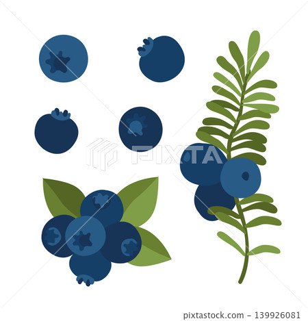 Hand-drawn autumn forest wild berries, blueberry collection for fall designs or packaging, food ingredients isolated on white Hand-drawn autumn forest wild berries, blueberry collection for fall designs or packaging, food ingredients isolated on white 139926081