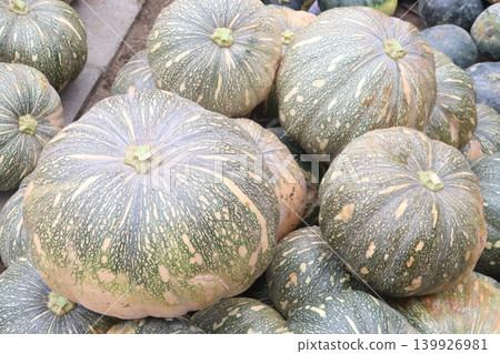 pumpkin stock on market for sell pumpkin stock on market for sell 139926981