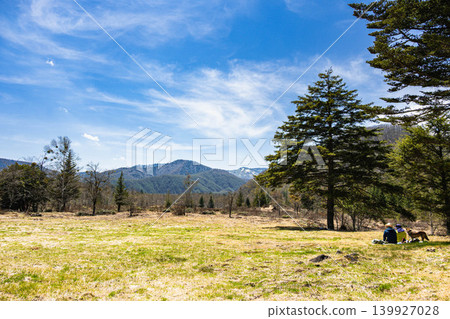 人們和狗在廣闊的草地和藍天下野餐。 人們和狗在廣闊的草地和藍天下野餐。 139927028