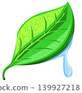 leaf water drop illustrator art symbol icon 139927218