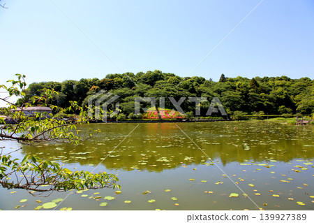 Rengeji Pond Park, Rengeji Pond, Fujieda City, Shizuoka Prefecture, Tokai Region, A paradise of flowers, water, birds, and smiles, Lotus, Iris, Park Rengeji Pond Park, Rengeji Pond, Fujieda City, Shizuoka Prefecture, Tokai Region, A paradise of flowers, water, birds, and smiles, Lotus, Iris, Park 139927389