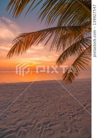 Palm tree sunset warm golden stunning breathtaking sand shore paradise exotic coastal tropical island travel destination summer vacation romantic dreamy atmospheric cinematic silhouette glow landscape Palm tree sunset warm golden stunning breathtaking sand shore paradise exotic coastal tropical island travel destination summer vacation romantic dreamy atmospheric cinematic silhouette glow landscape 139927547
