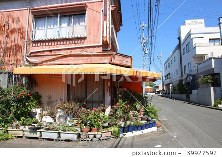 Rengeji Pond Park, Rengeji Pond, Fujieda City, Shizuoka Prefecture, Tokai Region, A paradise of flowers, water, birds, and smiles, Lotus, Rengejiike Rengeji Pond Park, Rengeji Pond, Fujieda City, Shizuoka Prefecture, Tokai Region, A paradise of flowers, water, birds, and smiles, Lotus, Rengejiike 139927592