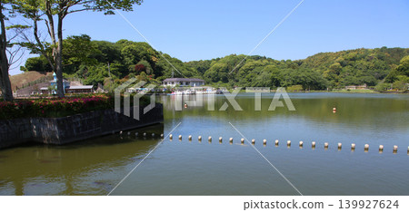 Rengeji Pond Park, Rengeji Pond, Fujieda City, Shizuoka Prefecture, Tokai Region, A paradise of flowers, water, birds, and smiles, Lotus, Rengejiike Rengeji Pond Park, Rengeji Pond, Fujieda City, Shizuoka Prefecture, Tokai Region, A paradise of flowers, water, birds, and smiles, Lotus, Rengejiike 139927624