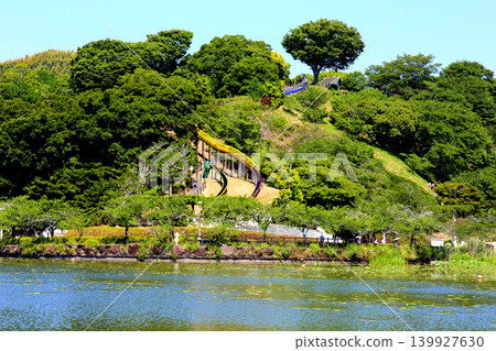 蓮華寺池公園,蓮華寺池,靜岡縣藤枝市,東海地區,花、水、鳥、笑的天堂,蓮花,蓮花池 蓮華寺池公園,蓮華寺池,靜岡縣藤枝市,東海地區,花、水、鳥、笑的天堂,蓮花,蓮花池 139927630
