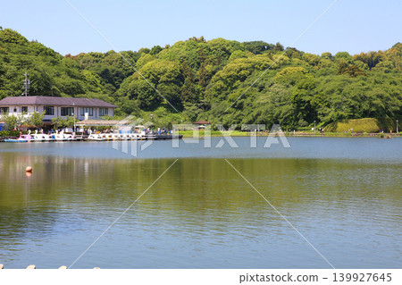 Rengeji Pond Park, Rengeji Pond, Fujieda City, Shizuoka Prefecture, Tokai Region, A paradise of flowers, water, birds, and smiles, Lotus, Rengejiike Rengeji Pond Park, Rengeji Pond, Fujieda City, Shizuoka Prefecture, Tokai Region, A paradise of flowers, water, birds, and smiles, Lotus, Rengejiike 139927645