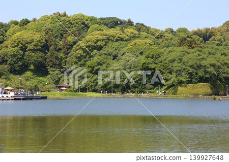 Rengeji Pond Park, Rengeji Pond, Fujieda City, Shizuoka Prefecture, Tokai Region, A paradise of flowers, water, birds, and smiles, Lotus, Rengejiike Rengeji Pond Park, Rengeji Pond, Fujieda City, Shizuoka Prefecture, Tokai Region, A paradise of flowers, water, birds, and smiles, Lotus, Rengejiike 139927648