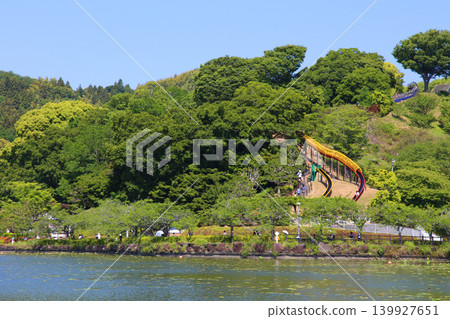 Rengeji Pond Park, Rengeji Pond, Fujieda City, Shizuoka Prefecture, Tokai Region, A paradise of flowers, water, birds, and smiles, Lotus, Rengejiike Rengeji Pond Park, Rengeji Pond, Fujieda City, Shizuoka Prefecture, Tokai Region, A paradise of flowers, water, birds, and smiles, Lotus, Rengejiike 139927651