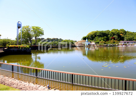 Rengeji Pond Park, Rengeji Pond, Fujieda City, Shizuoka Prefecture, Tokai Region, A paradise of flowers, water, birds, and smiles, Lotus, Rengejiike Rengeji Pond Park, Rengeji Pond, Fujieda City, Shizuoka Prefecture, Tokai Region, A paradise of flowers, water, birds, and smiles, Lotus, Rengejiike 139927672