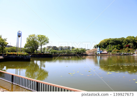Rengeji Pond Park, Rengeji Pond, Fujieda City, Shizuoka Prefecture, Tokai Region, A paradise of flowers, water, birds, and smiles, Lotus, Rengejiike Rengeji Pond Park, Rengeji Pond, Fujieda City, Shizuoka Prefecture, Tokai Region, A paradise of flowers, water, birds, and smiles, Lotus, Rengejiike 139927673