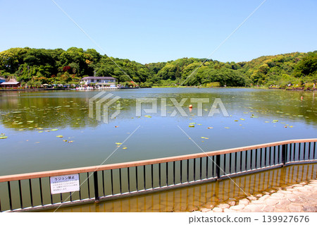 Rengeji Pond Park, Rengeji Pond, Fujieda City, Shizuoka Prefecture, Tokai Region, A paradise of flowers, water, birds, and smiles, Lotus, Rengejiike Rengeji Pond Park, Rengeji Pond, Fujieda City, Shizuoka Prefecture, Tokai Region, A paradise of flowers, water, birds, and smiles, Lotus, Rengejiike 139927676