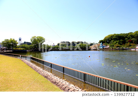 Rengeji Pond Park, Rengeji Pond, Fujieda City, Shizuoka Prefecture, Tokai Region, A paradise of flowers, water, birds, and smiles, Lotus, Rengejiike Rengeji Pond Park, Rengeji Pond, Fujieda City, Shizuoka Prefecture, Tokai Region, A paradise of flowers, water, birds, and smiles, Lotus, Rengejiike 139927712
