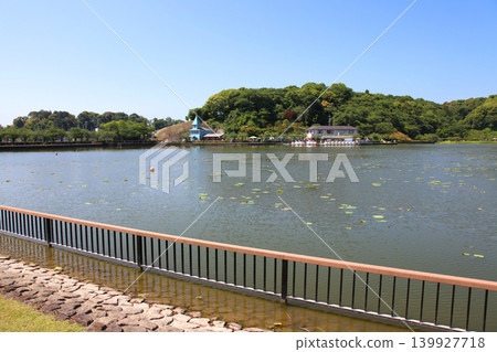 Rengeji Pond Park, Rengeji Pond, Fujieda City, Shizuoka Prefecture, Tokai Region, A paradise of flowers, water, birds, and smiles, Lotus, Rengejiike Rengeji Pond Park, Rengeji Pond, Fujieda City, Shizuoka Prefecture, Tokai Region, A paradise of flowers, water, birds, and smiles, Lotus, Rengejiike 139927718