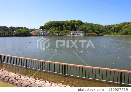 Rengeji Pond Park, Rengeji Pond, Fujieda City, Shizuoka Prefecture, Tokai Region, A paradise of flowers, water, birds, and smiles, Lotus, Rengejiike Rengeji Pond Park, Rengeji Pond, Fujieda City, Shizuoka Prefecture, Tokai Region, A paradise of flowers, water, birds, and smiles, Lotus, Rengejiike 139927719