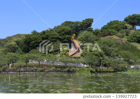 Rengeji Pond Park, Rengeji Pond, Fujieda City, Shizuoka Prefecture, Tokai Region, A paradise of flowers, water, birds, and smiles, Lotus, Rengejiike Rengeji Pond Park, Rengeji Pond, Fujieda City, Shizuoka Prefecture, Tokai Region, A paradise of flowers, water, birds, and smiles, Lotus, Rengejiike 139927723