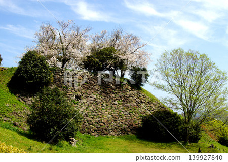 Nagoya Castle Ruins, a historical tourist spot in Saga Prefecture, is bustling with visitors enjoying the spring scenery of cherry blossoms in full bloom. Nagoya Castle Ruins, a historical tourist spot in Saga Prefecture, is bustling with visitors enjoying the spring scenery of cherry blossoms in full bloom. 139927840