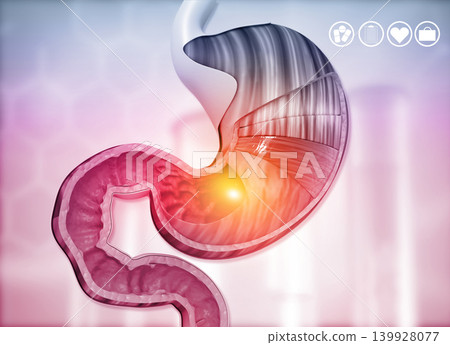 Cross section of human stomach diagram Cross section of human stomach diagram 139928077