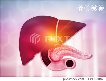 Human Liver Anatomy on medical background Human Liver Anatomy on medical background 139928087