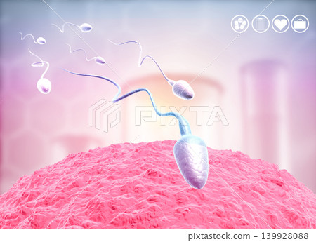 Human eggs and sperm, Sperm swimming to egg Human eggs and sperm, Sperm swimming to egg 139928088