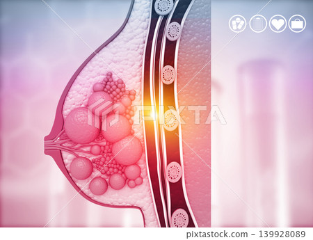 Cross section of female breast anatomy Cross section of female breast anatomy 139928089