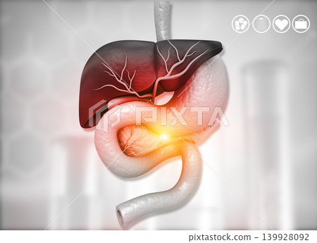 Human body with digestive system 139928092