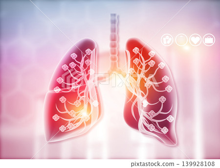 Anatomy of human lungs Anatomy of human lungs 139928108