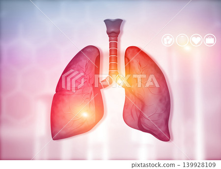 Anatomy of human lungs Anatomy of human lungs 139928109