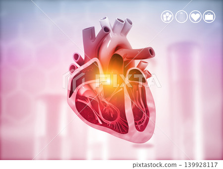Cross section of human heart diagram Cross section of human heart diagram 139928117