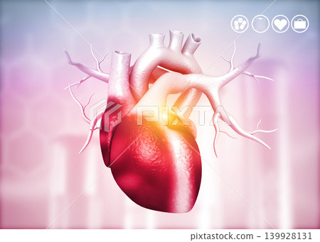 Anatomy of Human Heart Anatomy of Human Heart 139928131