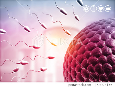 Human eggs and sperm, Sperm swimming to egg Human eggs and sperm, Sperm swimming to egg 139928136