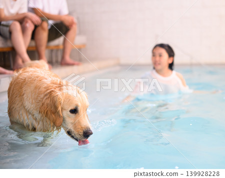 People enjoying the pool with their dogs People enjoying the pool with their dogs 139928228
