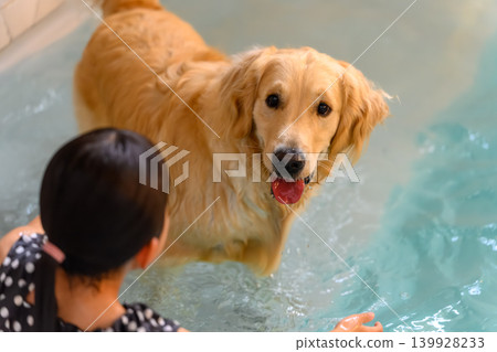狗狗和孩子們在水中玩耍 139928233