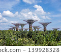 A futuristic view of Gardens by the Bay in Singapore. 139928328