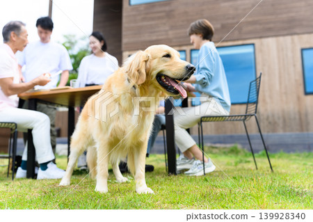 People and dogs relaxing in the garden People and dogs relaxing in the garden 139928340