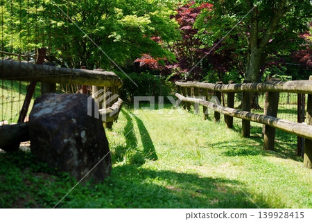 森林步道② 森林步道② 139928415