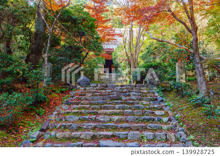 Stone steps covered in autumn leaves at Joju-ji Temple Stone steps covered in autumn leaves at Joju-ji Temple 139928725