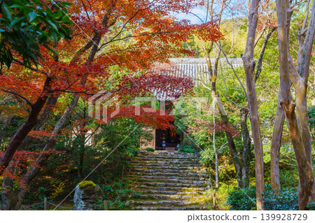 常住寺的石階上覆蓋著秋葉。 常住寺的石階上覆蓋著秋葉。 139928729