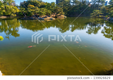 [Special Place of Scenic Beauty] Ritsurin Garden: Late Autumn Scenery - North Lake and Garden 2, Takamatsu City, Kagawa Prefecture 139928829