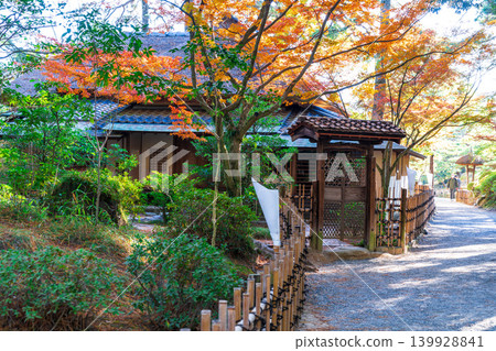 [Special Place of Scenic Beauty] Ritsurin Garden, Late Autumn Scenery: Autumn Leaves and Higurashi-tei Pavilion 2, Takamatsu City, Kagawa Prefecture 139928841