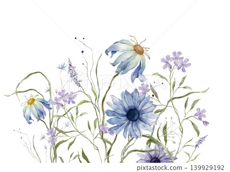 Watercolor design elements of bouquet depicting a blue wildflower botanical chamomile hand drawn illustrations. Composition delicate of purple phlox, lavender wildflower herbs on isolated background. Watercolor design elements of bouquet depicting a blue wildflower botanical chamomile hand drawn illustrations. Composition delicate of purple phlox, lavender wildflower herbs on isolated background. 139929192