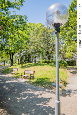 「公園」（五月）[素材] 大阪府一個小公園裡的長椅，周圍環繞著新葉帶來的清新空氣。 139929257