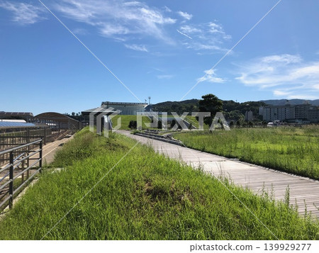 A lush, waterside promenade that stands out against the blue sky. A lush, waterside promenade that stands out against the blue sky. 139929277