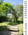 「公園」（五月）[素材] 大阪府一個小公園裡的長椅，周圍環繞著新葉帶來的清新空氣。 139929285