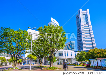 Two birds (right) in the urban landscape of Yokohama, Japan... overlooking Sakuragicho Station and Yokohama Landmark Tower, bathed in fresh greenery in the morning light. Two birds (right) in the urban landscape of Yokohama, Japan... overlooking Sakuragicho Station and Yokohama Landmark Tower, bathed in fresh greenery in the morning light. 139929476