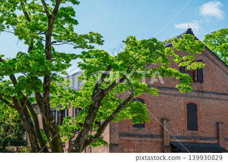 The contrast between the fresh green branches and leaves and the red brick (Ishikawa Prefectural Museum of History) The contrast between the fresh green branches and leaves and the red brick (Ishikawa Prefectural Museum of History) 139930829