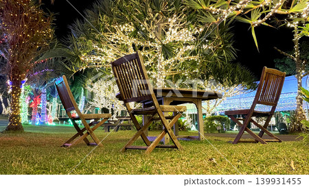 燈光璀璨,花園繁花似錦,點亮熱帶夜晚:度假村的冬日美景 燈光璀璨,花園繁花似錦,點亮熱帶夜晚:度假村的冬日美景 139931455